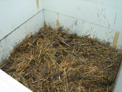 IMG_6506.JPG (159.84 KiB) 27131 mal betrachtet Stroh Kohle Steinmehl Urin Wasser gemischt
