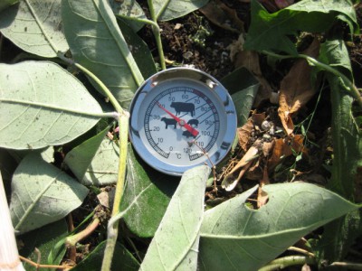 Temperatur in 10cm Tiefe