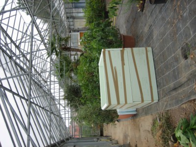 IMG_6505.JPG (160.72 KiB) 27100 mal betrachtet Kompostmeiler im Glashaus