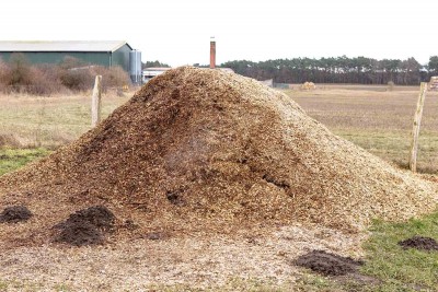 HolzschnitzelGrossPankow.jpg